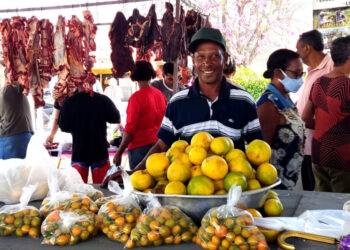 Com renda maior, população vem consumindo mais e gerando mais negócios (Crédito foto: Edvânia Peregrini/Governo do Tocantins)
