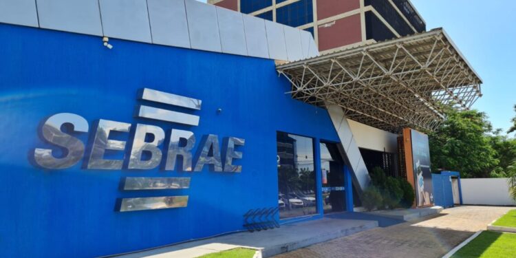 MEI representa quase 75% dos pequenos negócios que abriram de janeiro a junho no TO