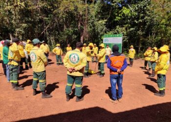Novos brigadistas passam por capacitação em Caseara, no Parque Estadual do Cantão