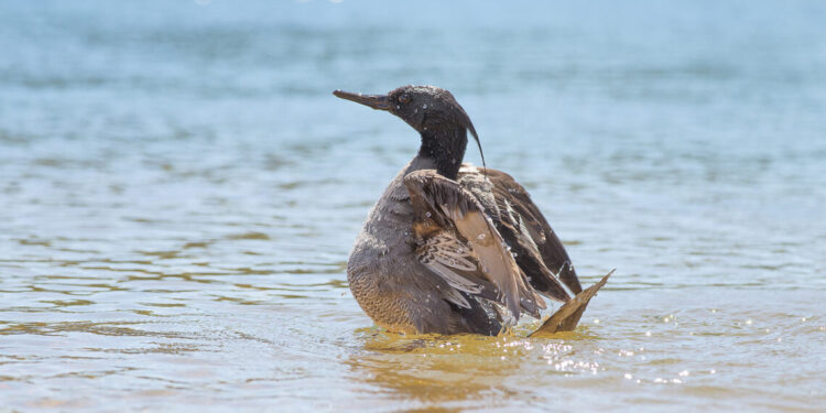 APA do Jalapão celebra 24 anos de proteção e sustentabilidade