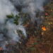 Manejo Integrado do Fogo protege o Cerrado e previne incêndios florestais nas Unidades de Conservação estaduais