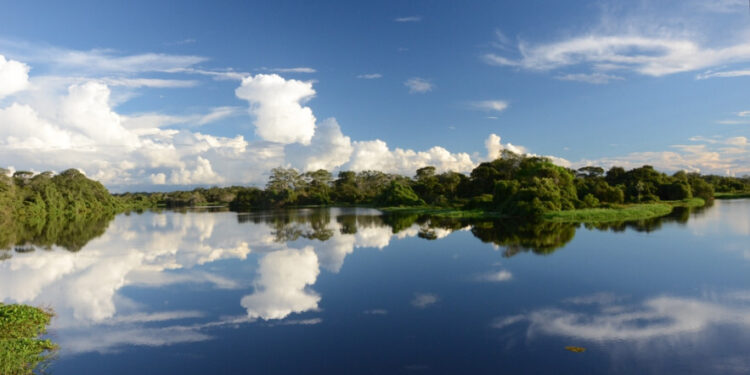 Naturatins disponibiliza Termo de Referência para Elaboração do plano de Manejo da APA Ilha do Bananal/Cantão