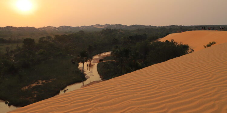 Unidades de Conservação estaduais participam da campanha Um Dia no Parque