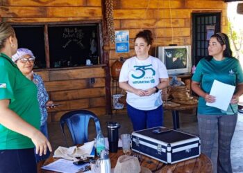 Naturatins realiza mais um ciclo de oficinas sobre a Política Estadual de Uso Sustentável do Capim-Dourado e do Buriti - Foto: Naturatins/Governo do Tocantins