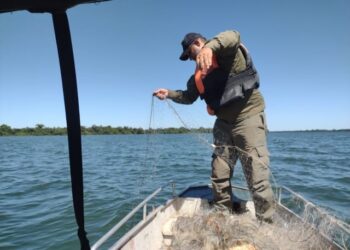 Ação resultou na apreensão de 650 metros de redes emalhar (Foto: Naturatins/Governo do Tocantins)