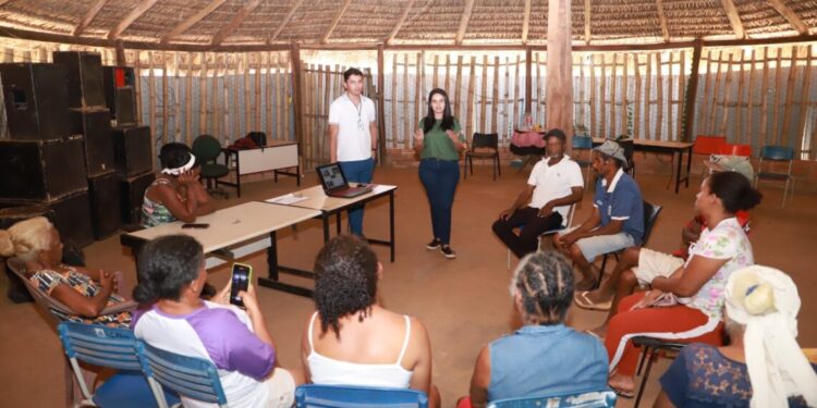 Governo do Tocantins segue com oficinas sobre Política Estadual do Uso Sustentável do Capim-Dourado e o do Buriti