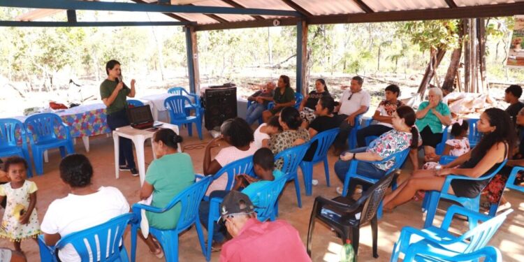 Governo do Tocantins conclui ciclos de oficinas sobre a Política Estadual de Uso Sustentável do Capim-Dourado e do Buriti