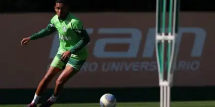 Palmeiras renova contratos de mais duas joias; entenda por que clube aposta na dupla