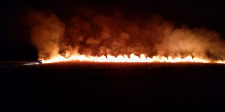 Queimadas já impactaram o fornecimento de energia para quase 9 mil tocantinenses este ano  