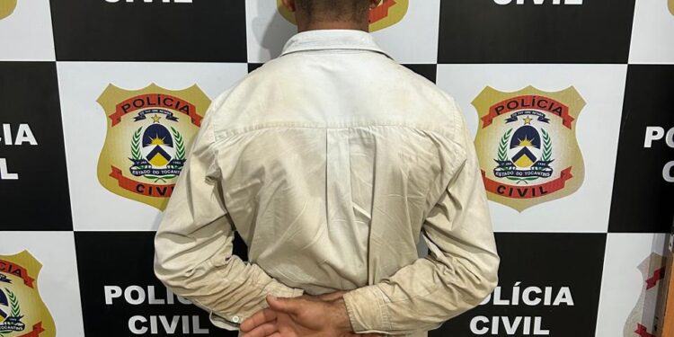 Em Paraíso do Tocantins, Polícia Civil prende homem por posse ilegal de arma de fogo