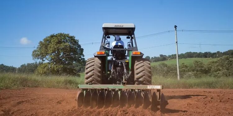 Plano Safra 24/25: linhas para alimentos básicos têm redução de juros
