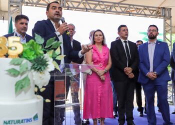 Governo do Tocantins celebra avanços na gestão ambiental do Estado (Foto: Adilvan Nogueira/Governo do Tocantins)