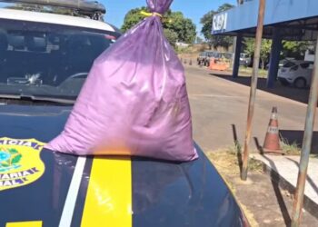 Saco cheio de cocaína foi apreendido pela PRF — Foto: PRF/Divulgação