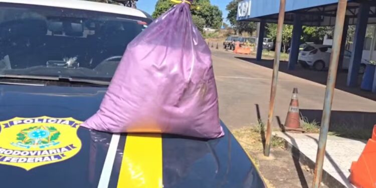 Saco cheio de cocaína é apreendido pela PRF dentro de encomenda