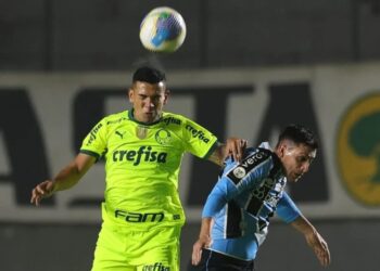 Lance de Grêmio x Palmeiras pela 14ª rodada do Brasileiro Cesar Greco/Palmeiras/by Canon