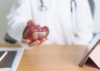 Médico segura um modelo de um fígado humano
Panuwat Dangsungnoen/Getty Images