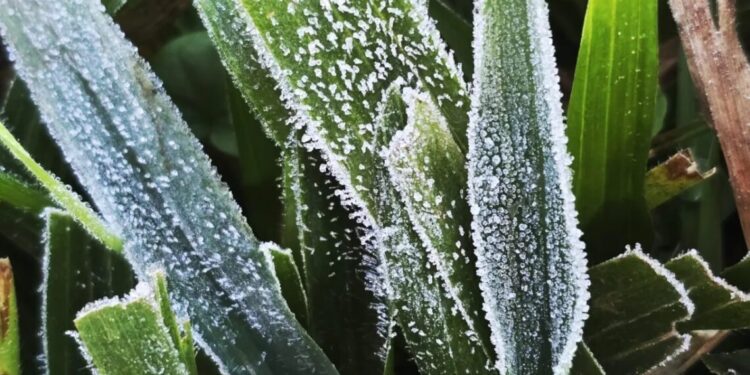 Onda de frio: estados têm alerta para queda de temperatura nesta segunda-feira (08)