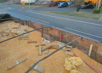 Carga de maconha escondida em caminhão de milho Cedidas/PRF