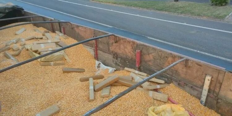 PRF apreende 5 toneladas de maconha escondidas em carga de milho