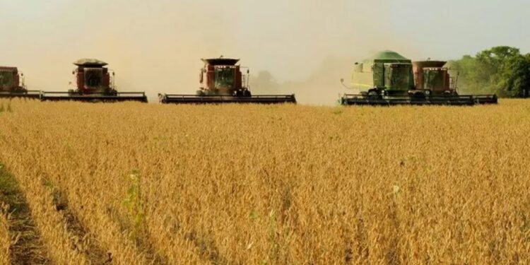 Plantação de soja no Tocantins — Foto: Secom/Divulgação