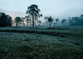 Temperaturas mínimas seguem extremas no Sul do Brasil com onda de frio ativa — Foto: Getty Images