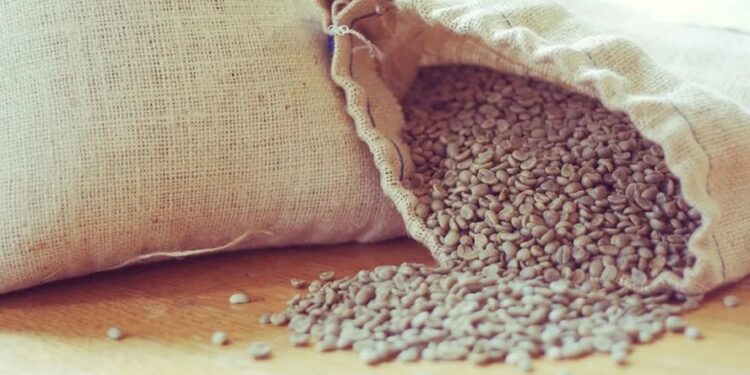 Exportação de café bateu recorde em volume e faturamento na safra 2023/24