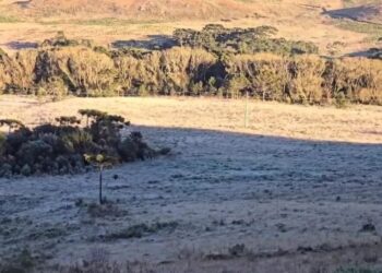 Geada observada em São Joaquim na manhã deste domingo (30); fenômeno pode se repetir na segunda Mycchel Legnaghi / @saojoaquimonline.com.br