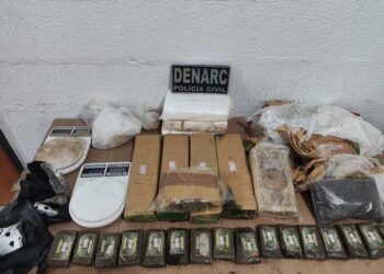 Drogas apreendidas durante ação da Divisão Especializada de Repressão a Narcóticos em Paraíso do Tocantins — Foto: Divulgação/PCTO