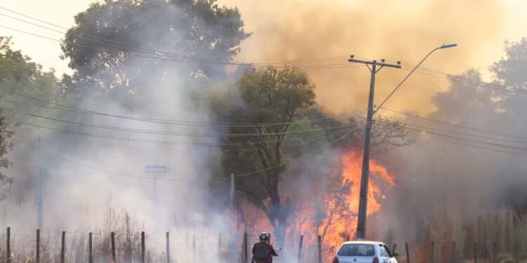 Incêndio de grandes proporções atinge vegetação próxima ao Aeroporto de Palmas