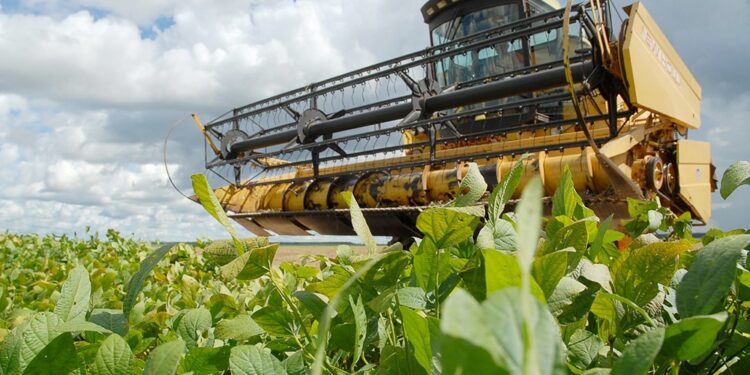 Governo do Tocantins garante desenvolvimento na defesa agropecuária com investimentos de mais de R$ 4,7 milhões