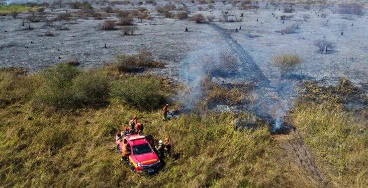 Em primeira etapa de investigações, PF identifica 30 focos de incêndios no Pantanal