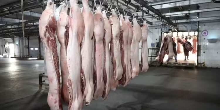 Preço da carne suína tem impulso com aquecimento da demanda