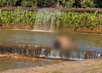 Família é vista tomando banho nas águas do Parque Cesamar — Foto: Divulgação/Chayla Felix