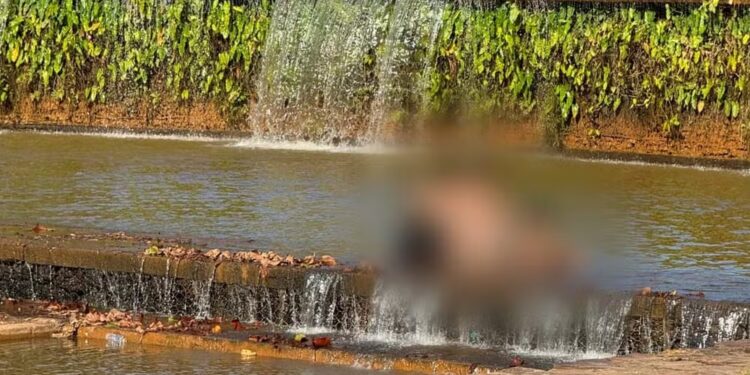 Família é vista tomando banho nas águas do Parque Cesamar — Foto: Divulgação/Chayla Felix