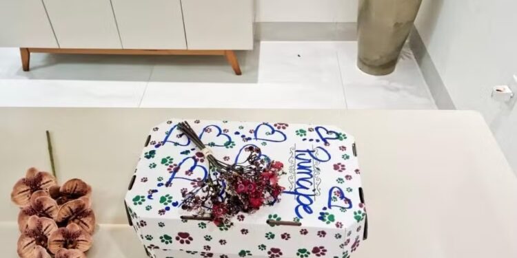 Animais de estimação têm velório e enterro em cemitério exclusivo para pets em Palmas