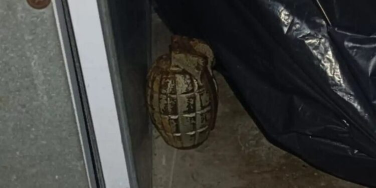 Granada é encontrada em centro de acolhimento de São Paulo