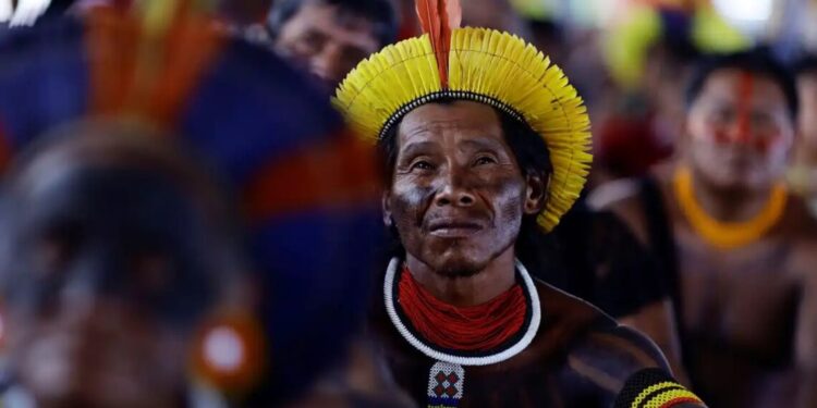 Ao menos 208 indígenas foram assassinados no Brasil em 2023