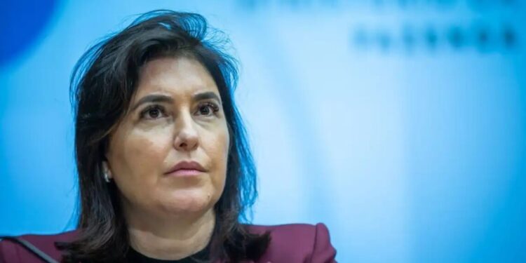 Equipe econômica detalha na próxima semana corte de gasto com revisão de programas do governo, diz Tebet