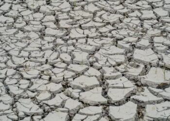 Seca no Brasil Reprodução