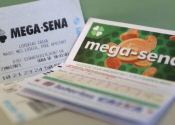 Aposta simples, com seis números marcados, custa R$ 5
Tânia Rêgo/Agência Brasil