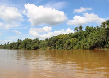 Rio Araguaia, em Araguatins, norte do estado — Foto: Letícia Queiroz/G1