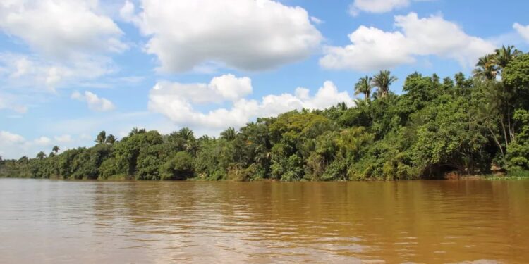 Rio Araguaia, em Araguatins, norte do estado — Foto: Letícia Queiroz/G1