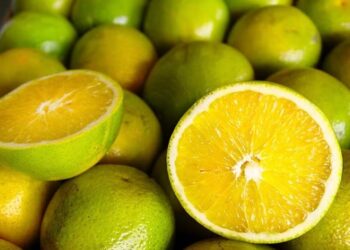 Laranja tem nova alta de preços e acumula série recorde de cotações