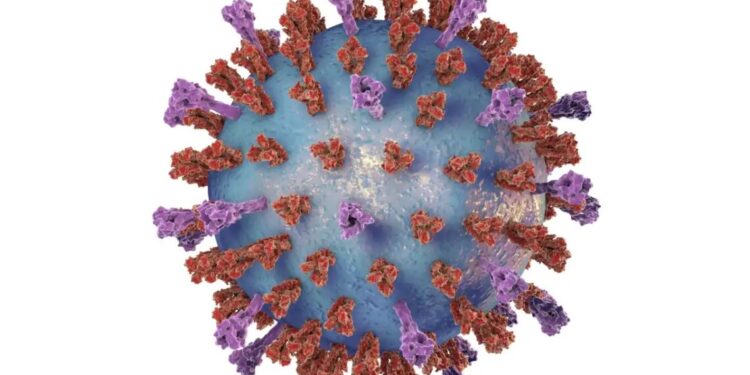 Bronquiolite: complicações causadas por VSR crescem em 2024 no Brasil