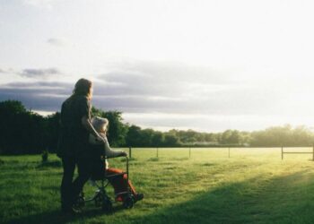 Projeto foi elaboradopor um grupo de trabalho que envolveu 20 ministérios Dominic Lange/Unsplash