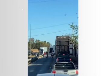 Briga entre caminhoneiros termina eu 'duelo' de facões na BR-153 — Foto: Reprodução/Redes Sociais