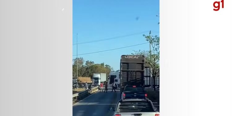 Briga de facão entre caminhoneiros para o trânsito na BR-153