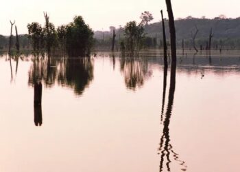 Rio Madeira é um dos afluentes do rio Amazonas pela margem direita e possui uma área de drenagem de 1,42 milhão de quilômetros quadrados. Crédito: Rui Faquini/ ANA