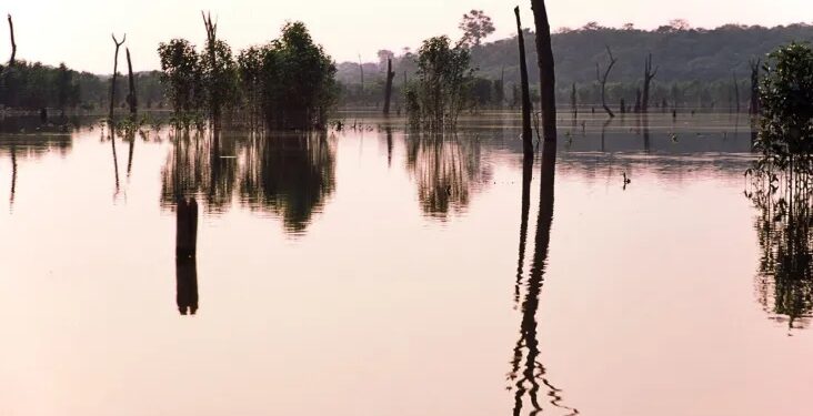 Agência Nacional de Águas declara “situação crítica” em rios do Amazonas
