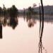 Agência Nacional de Águas declara “situação crítica” em rios do Amazonas